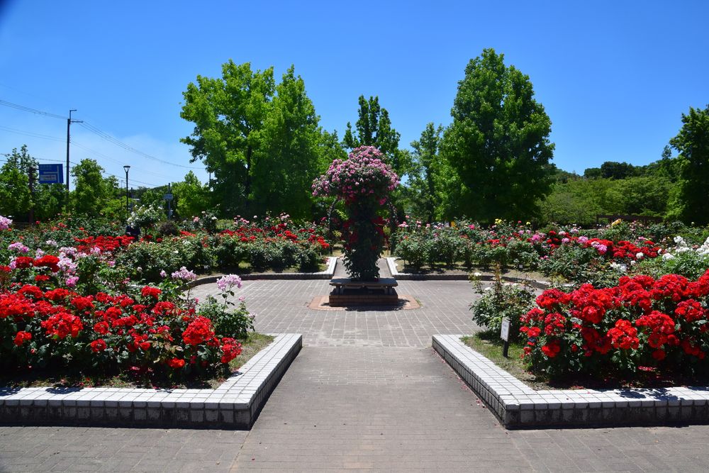 庄堺公園