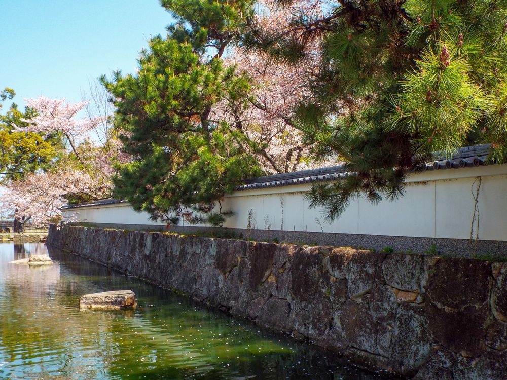 膳所城跡公園の画像 - 5枚目