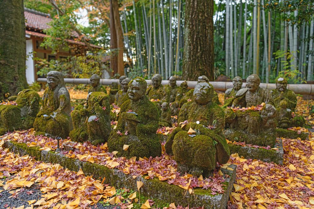 赤山禅院の画像 - 2枚目