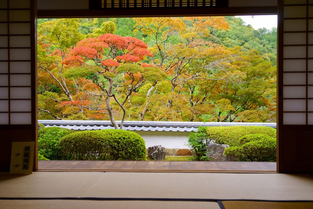海住山寺の画像 - 4枚目