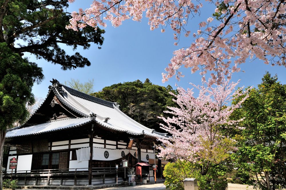 海住山寺の画像 - 5枚目