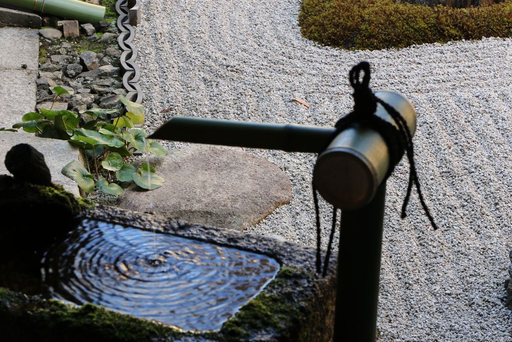 養源院の画像 - 2枚目