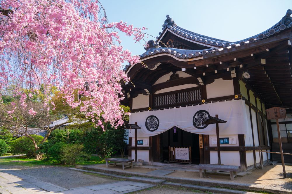養源院の画像 - 3枚目