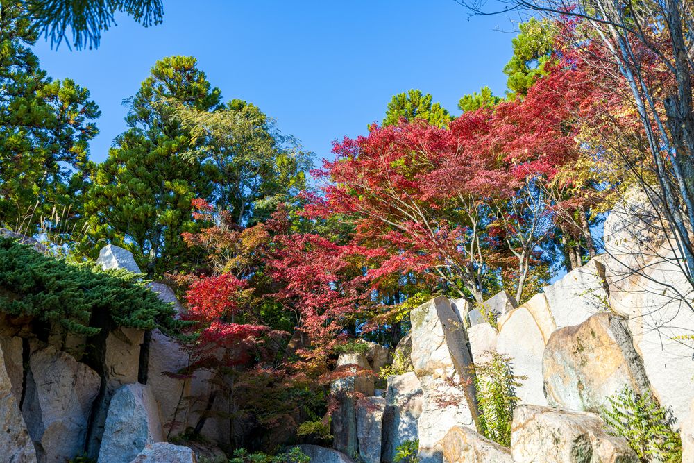 けいはんな記念公園の画像 - 5枚目