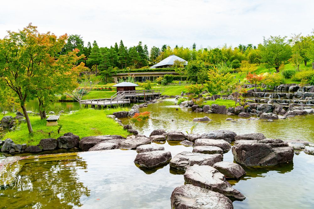 けいはんな記念公園の画像 - 7枚目