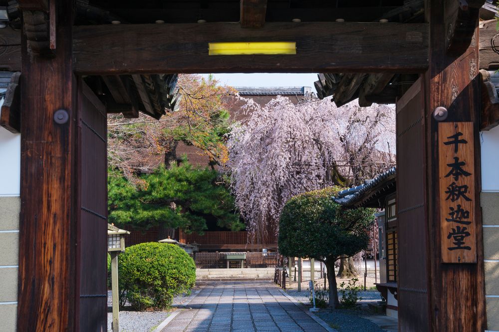 大報恩寺 (千本釈迦堂)の画像 - 4枚目