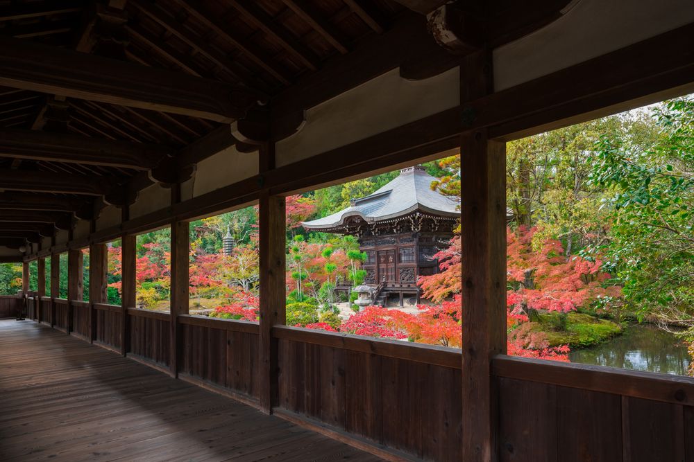 清凉寺 (嵯峨釈迦堂)の画像 - 2枚目