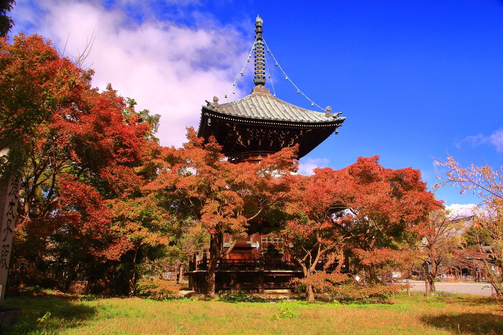 清凉寺 (嵯峨釈迦堂)の画像 - 3枚目