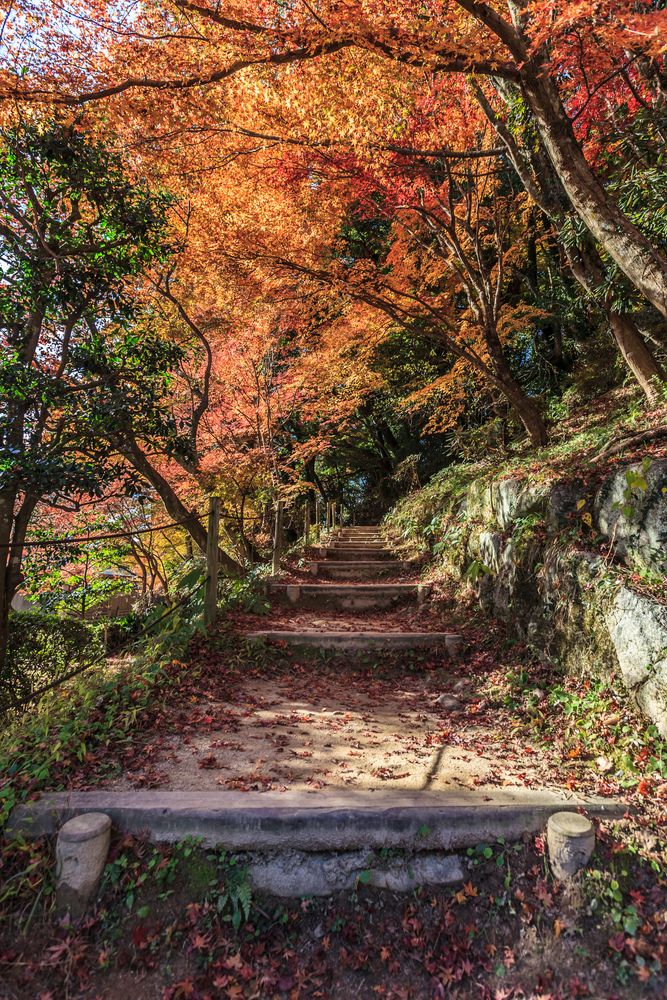 太宰府天満宮の画像 - 2枚目