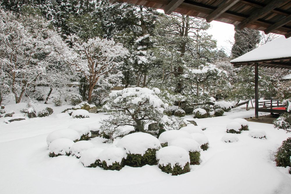 曼殊院の画像 - 2枚目