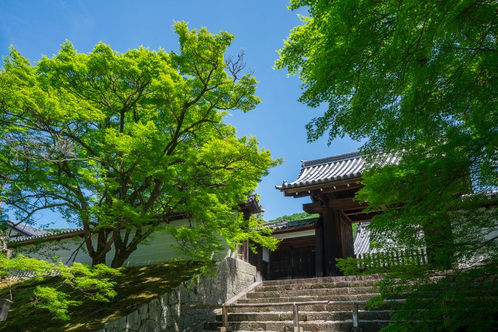 曼殊院の画像 - 5枚目