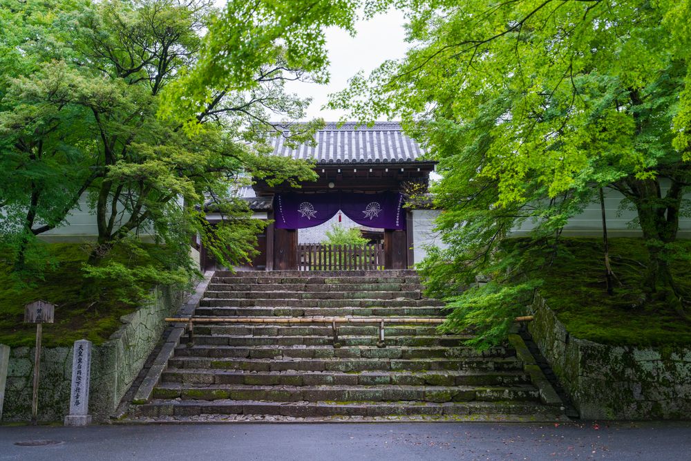 曼殊院の画像 - 7枚目