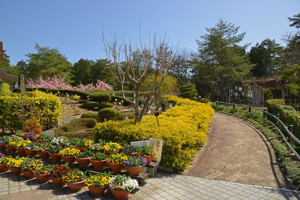 三段池公園の画像 - 2枚目