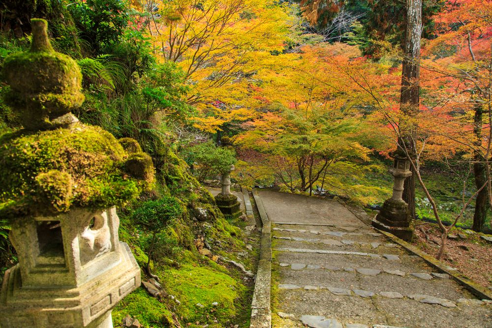 西明寺の画像 - 2枚目
