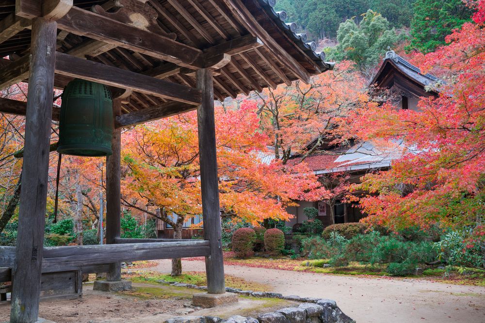 西明寺の画像 - 5枚目