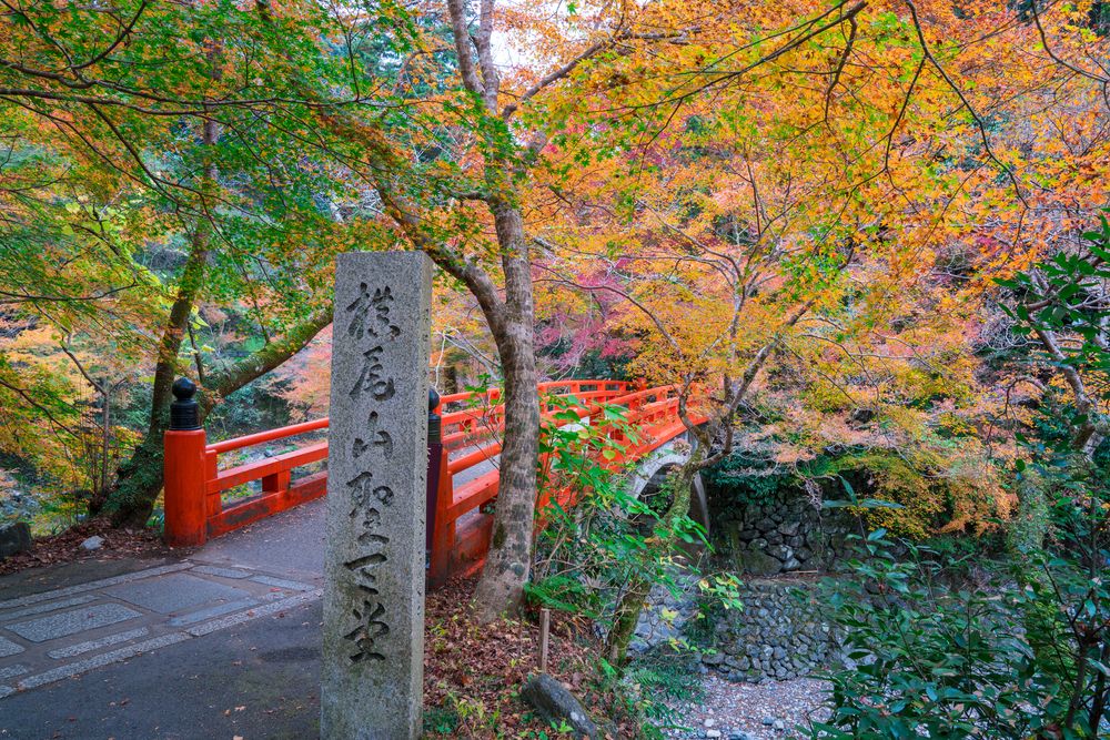 西明寺の画像 - 6枚目