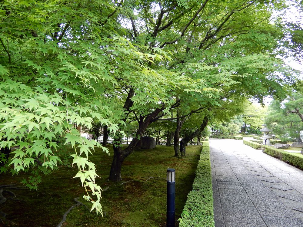 承天閣美術館の画像 - 5枚目
