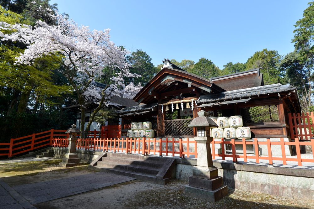 船岡山公園の画像 - 2枚目
