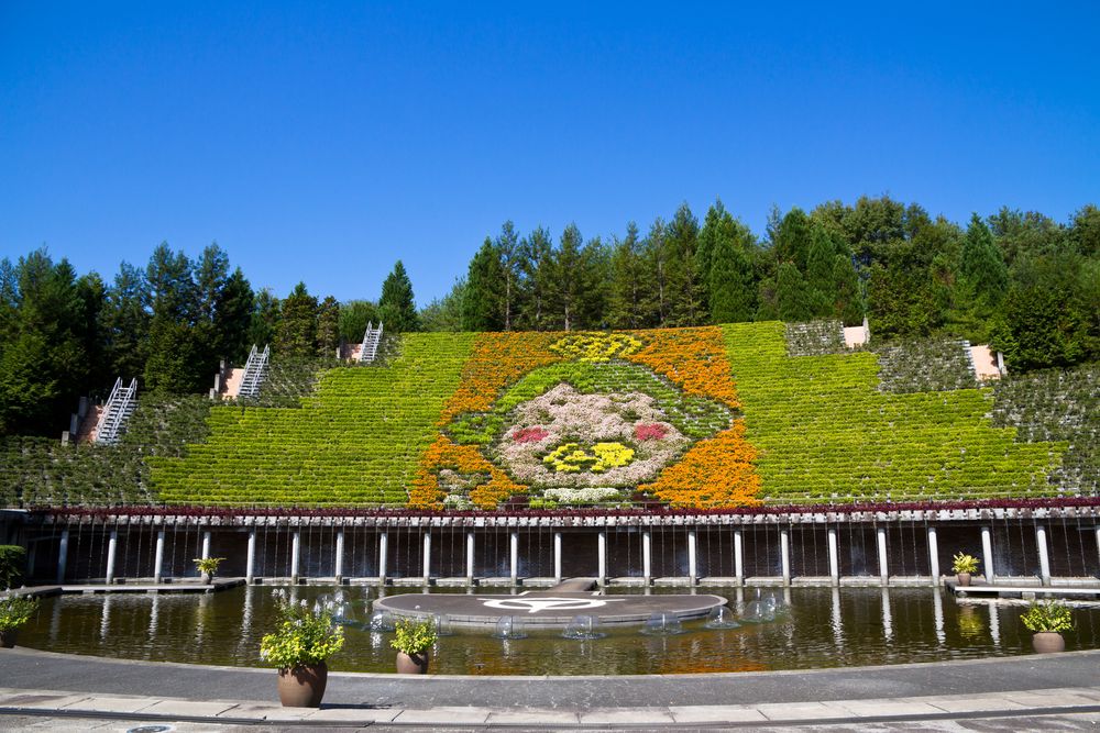 宇治市植物公園の画像 - 4枚目