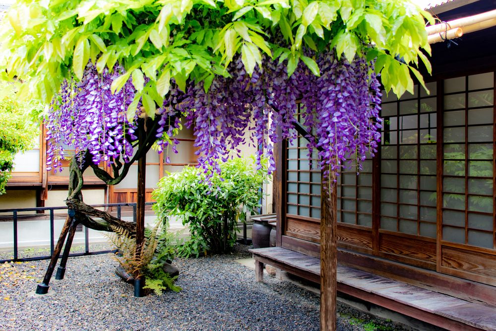河井寛次郎記念館の画像 - 3枚目