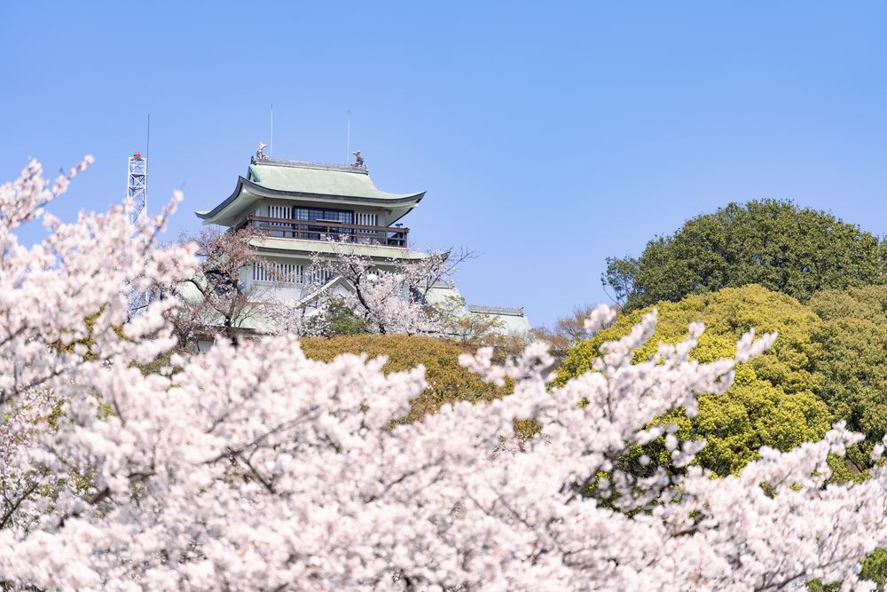 小牧山歴史館の画像 - 4枚目
