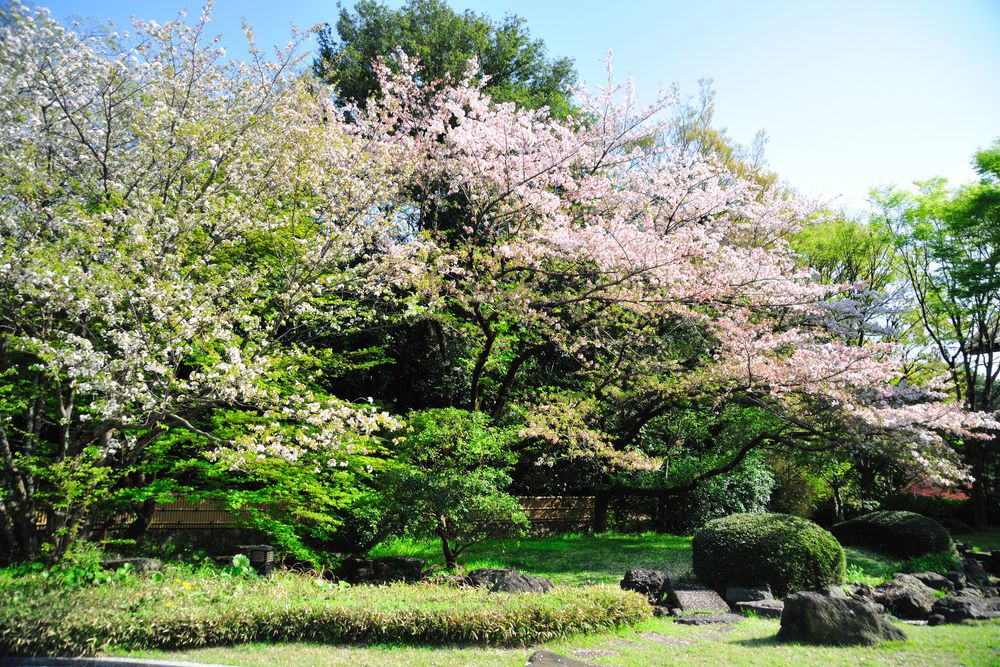 安祥城址の画像 - 5枚目