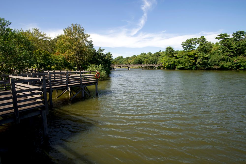 聚楽園公園の画像 - 2枚目