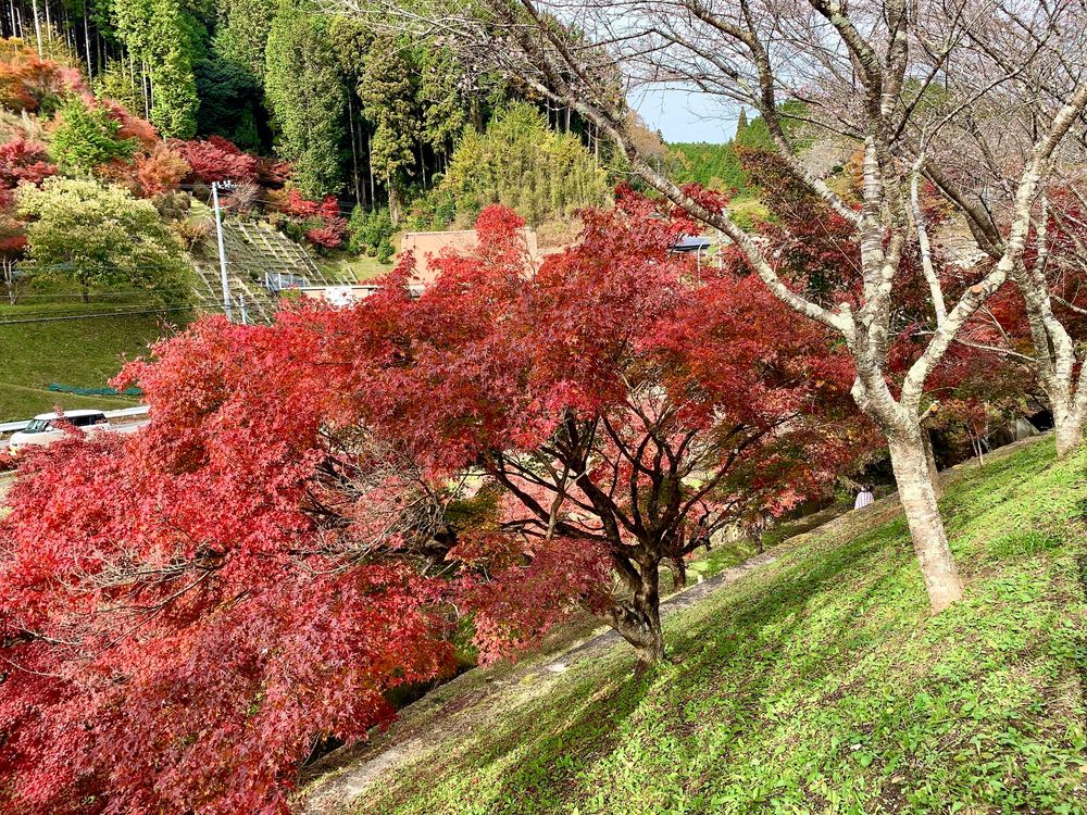 小原ふれあい公園の画像 - 4枚目