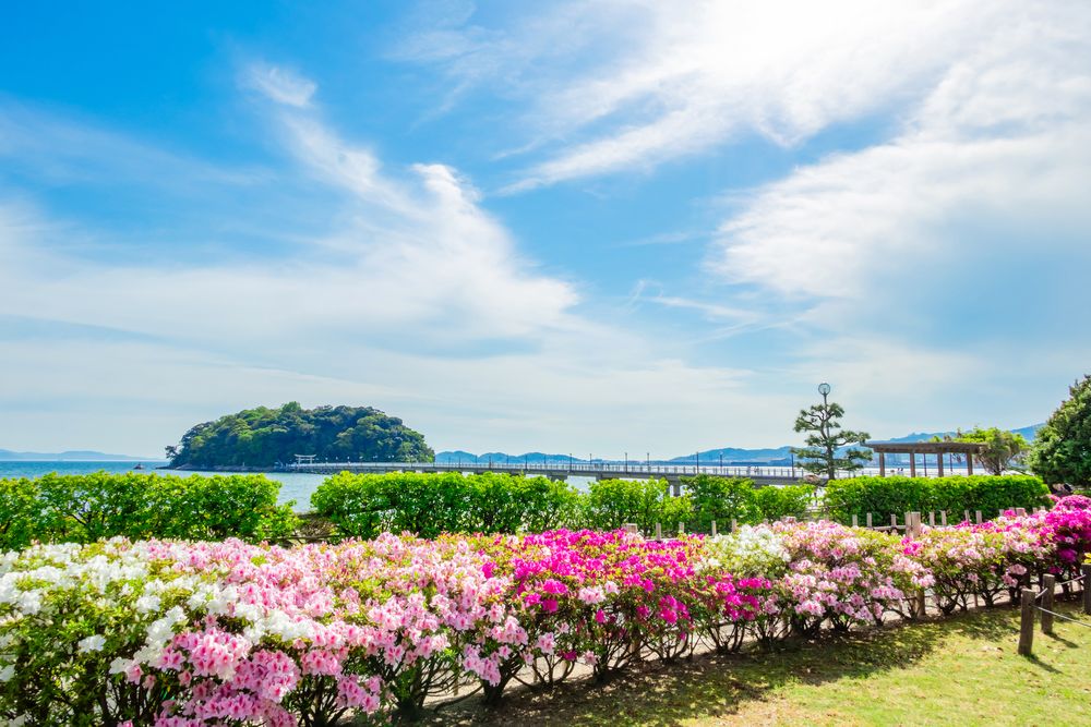 海辺の文学記念館の画像 - 5枚目
