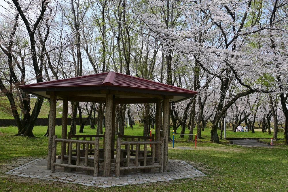 大野極楽寺公園の画像 - 3枚目
