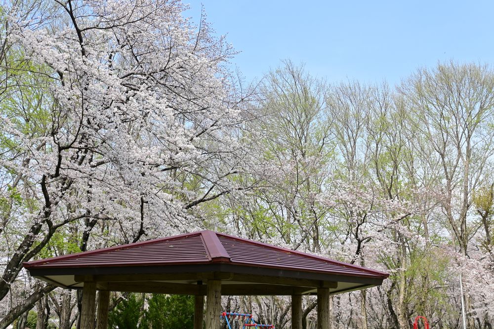 大野極楽寺公園の画像 - 4枚目