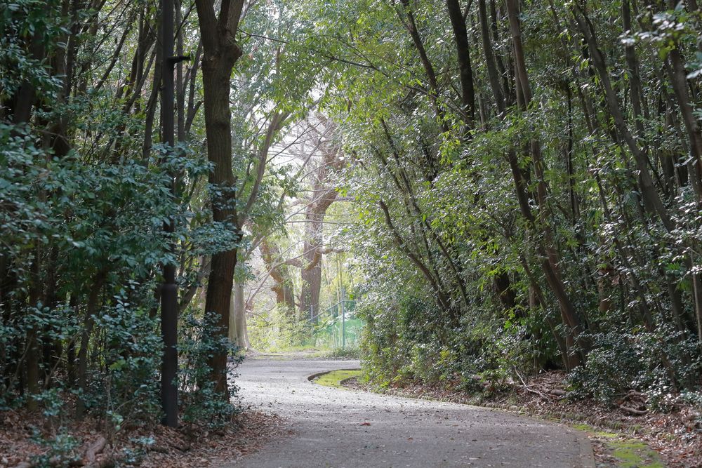 大野極楽寺公園の画像 - 6枚目