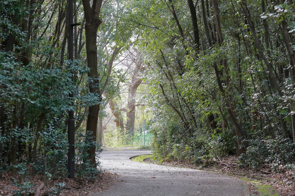 大野極楽寺公園