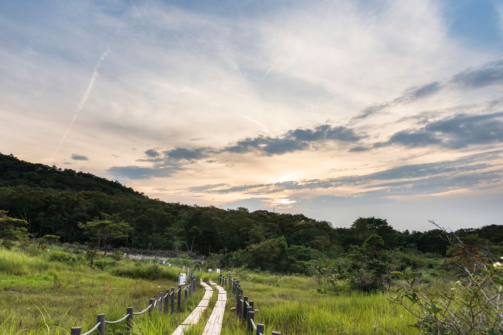 葦毛湿原の画像 - 3枚目