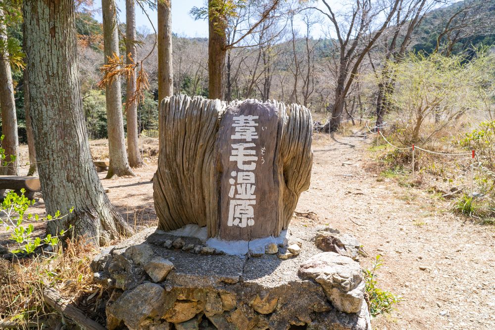 葦毛湿原の画像 - 5枚目