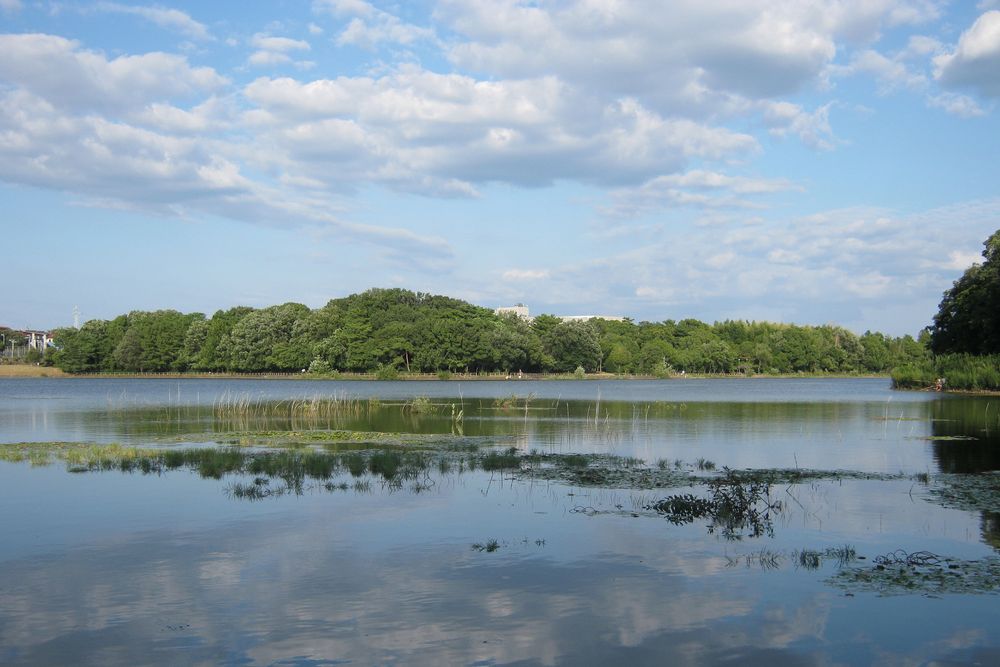 洲原公園の画像 - 2枚目