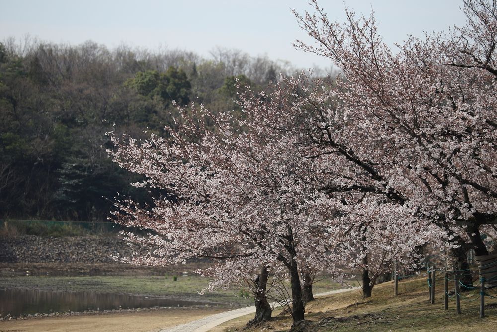 洲原公園の画像 - 3枚目