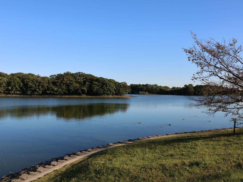 洲原公園の画像 - 4枚目