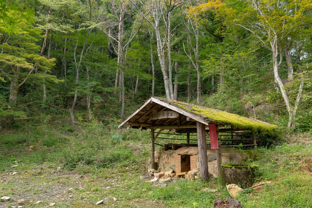 愛知県民の森の画像 - 2枚目