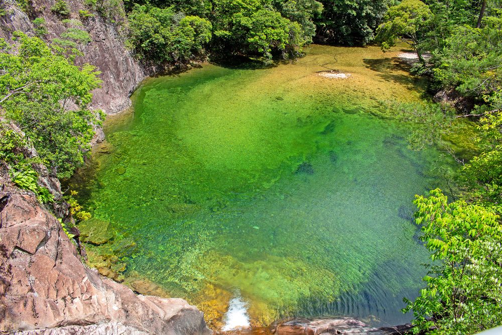 愛知県民の森の画像 - 5枚目