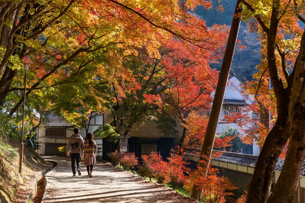 三州足助屋敷の画像 - 4枚目