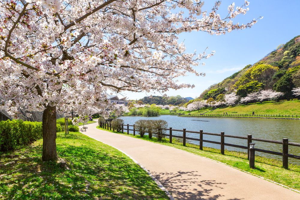 福岡県営中央公園の画像 - 2枚目