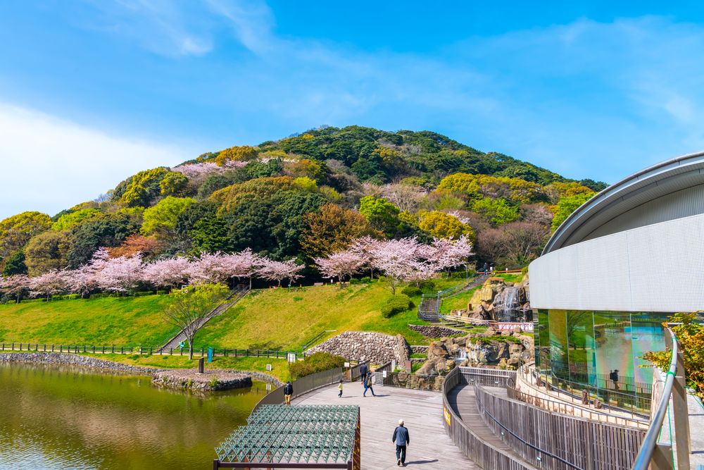 福岡県営中央公園の画像 - 3枚目