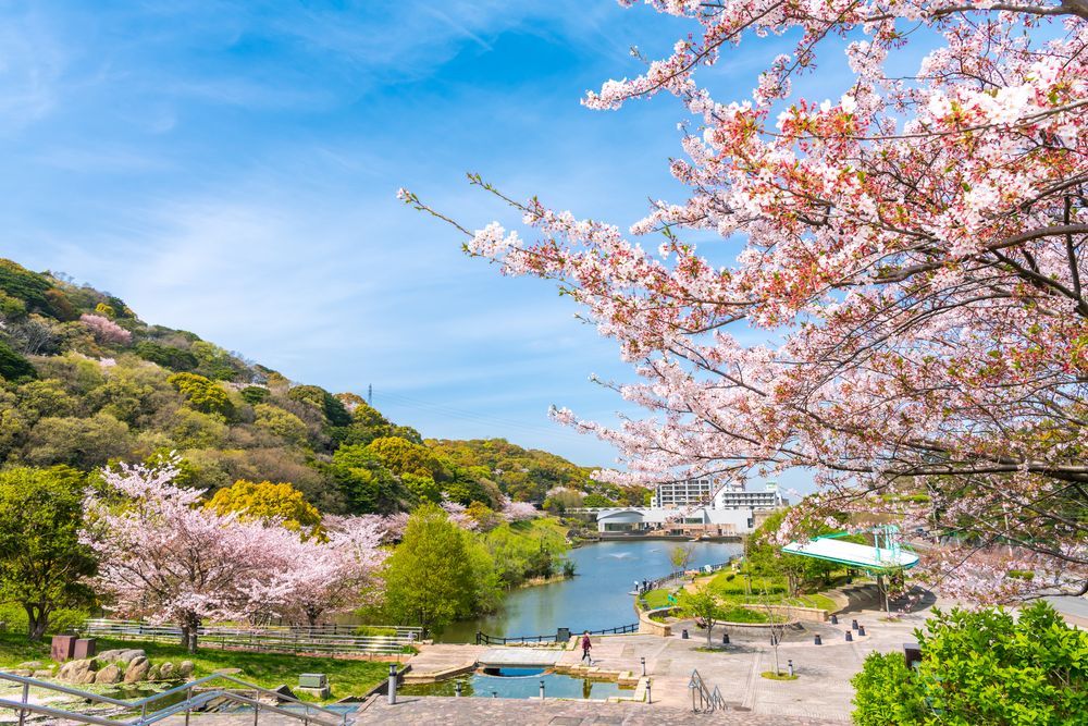 福岡県営中央公園の画像 - 4枚目