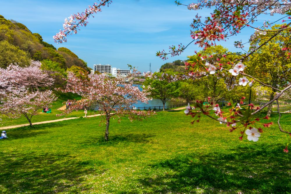 福岡県営中央公園の画像 - 5枚目