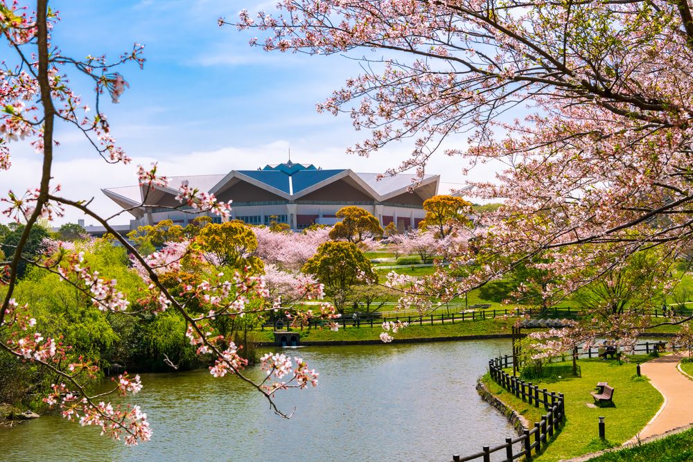 福岡県営中央公園の画像 - 6枚目