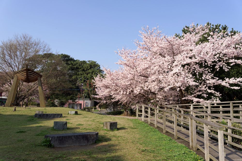 西公園の画像 - 3枚目