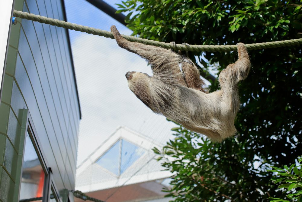 大牟田市動物園の画像 - 5枚目
