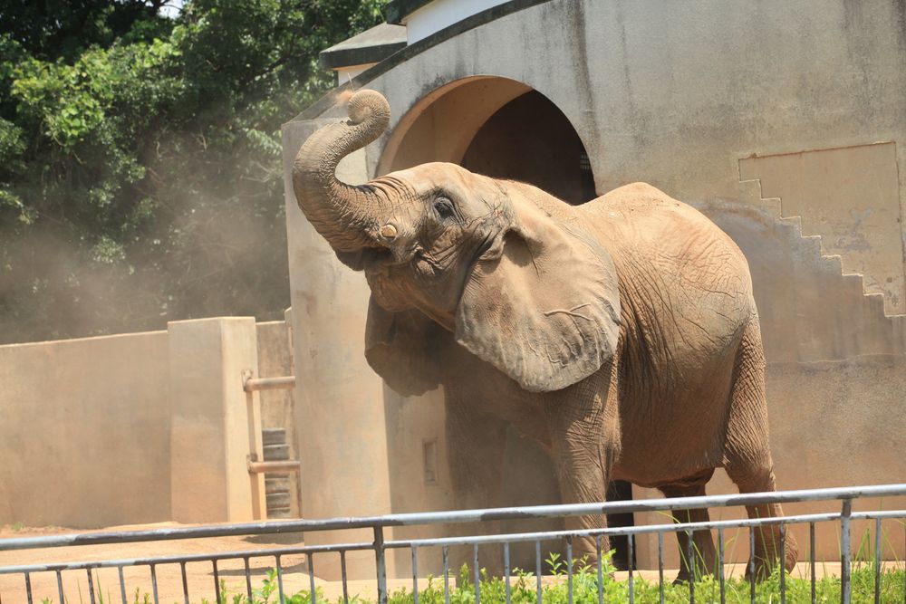 大牟田市動物園の画像 - 6枚目