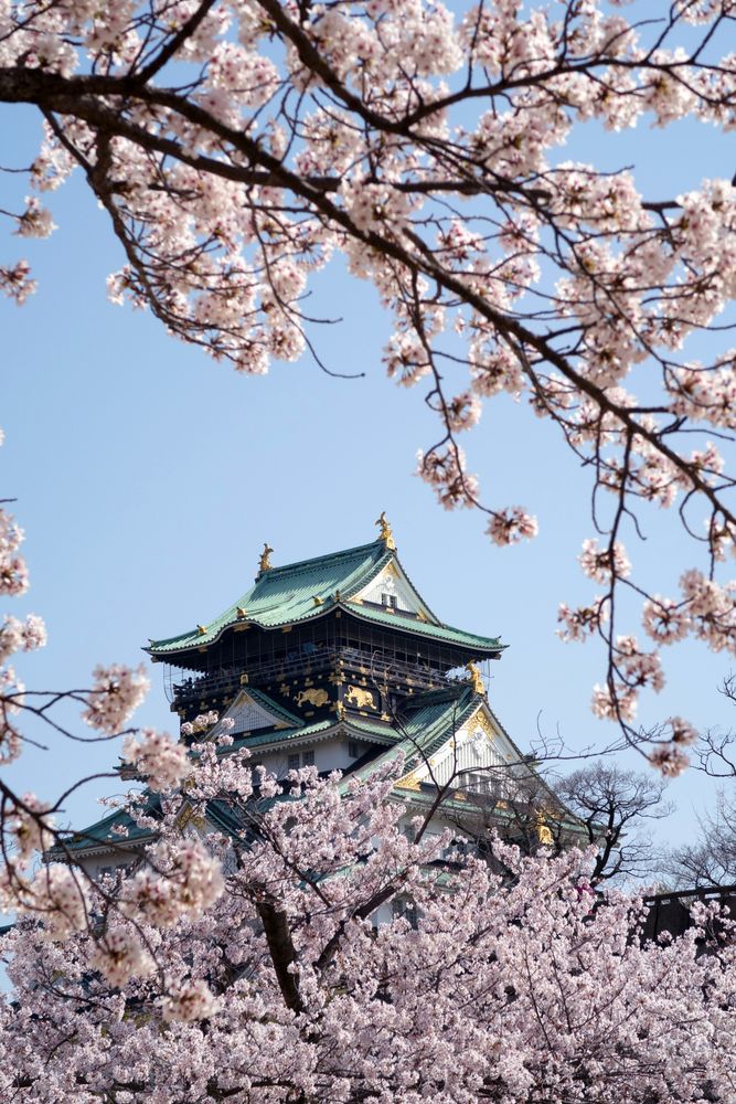 大阪城公園の画像 - 2枚目